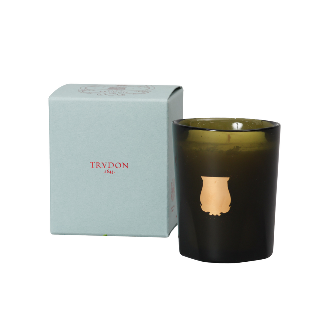 CIRE TRUDON シール・トゥルードン キャンドル ERNESTO 70g – CHELSEA CIRE TRUDON シール・トゥルードン キャンドル ERNESTO 70g – CHELSEA